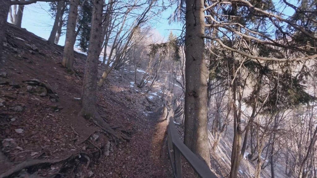Sentiero per Monte Coltignone