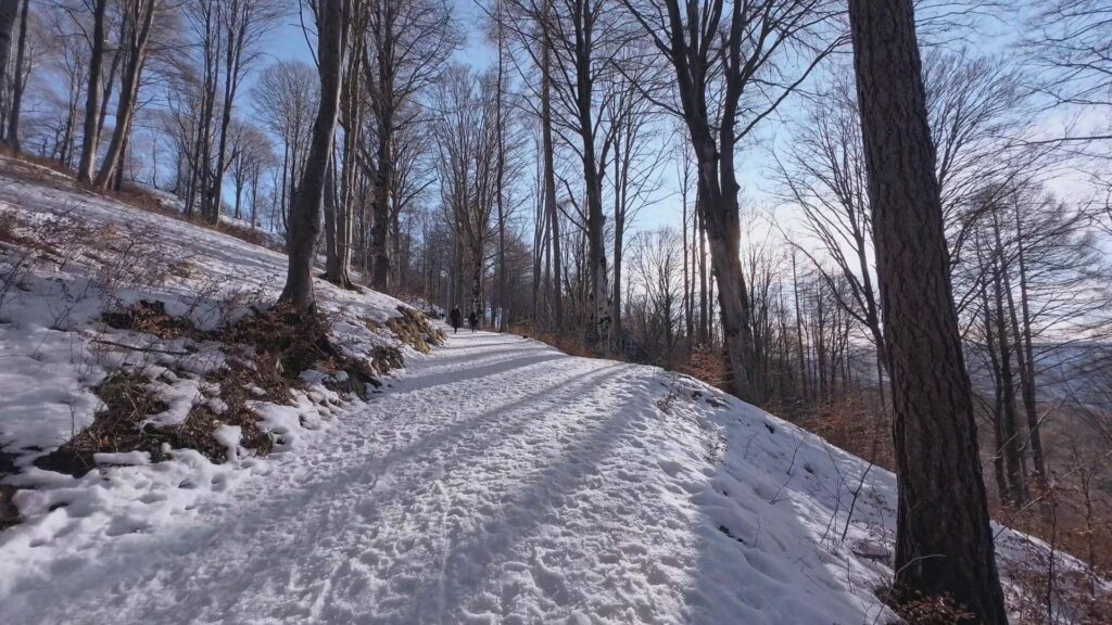 sentiero per Parco Valentino