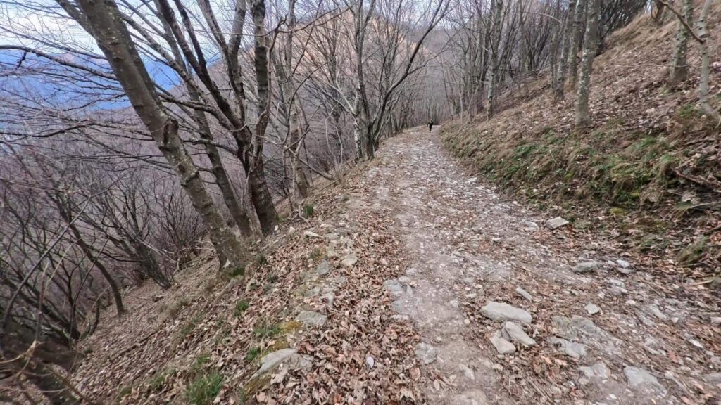 Sentiero per Palanzone