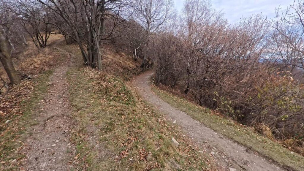 Sentiero per Palanzone