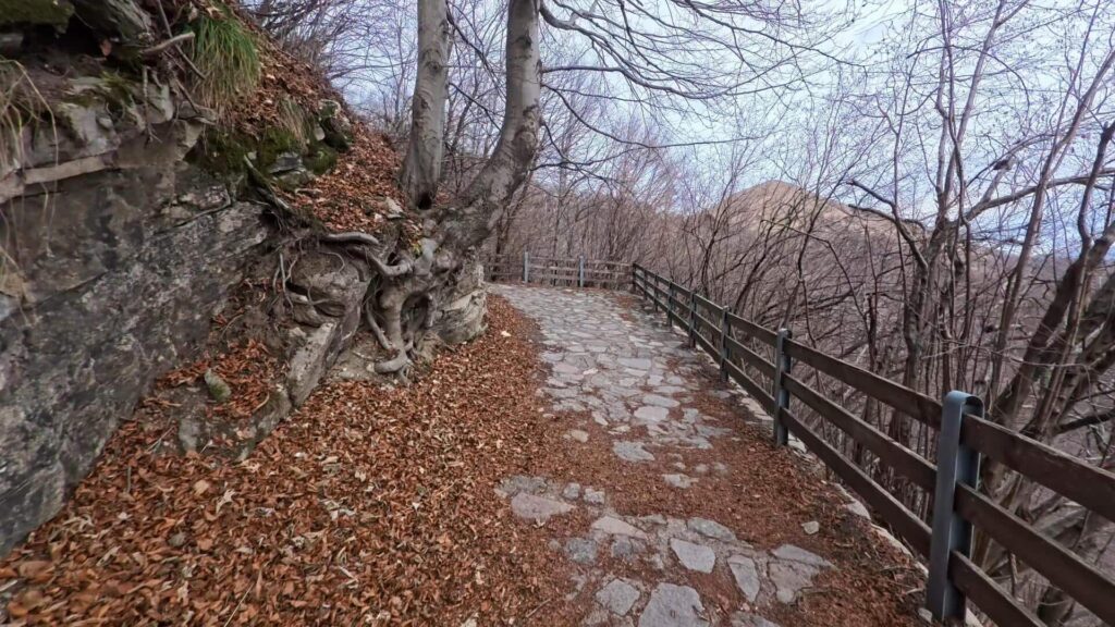 Sentiero per Palanzone