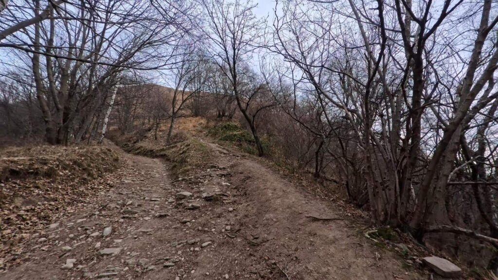 Sentiero per Palanzone