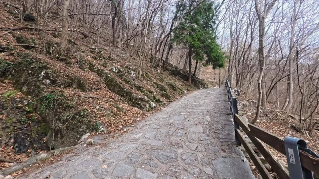 Sentiero per Palanzone