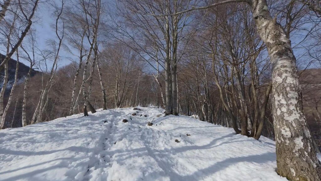 sentiero per Resegone