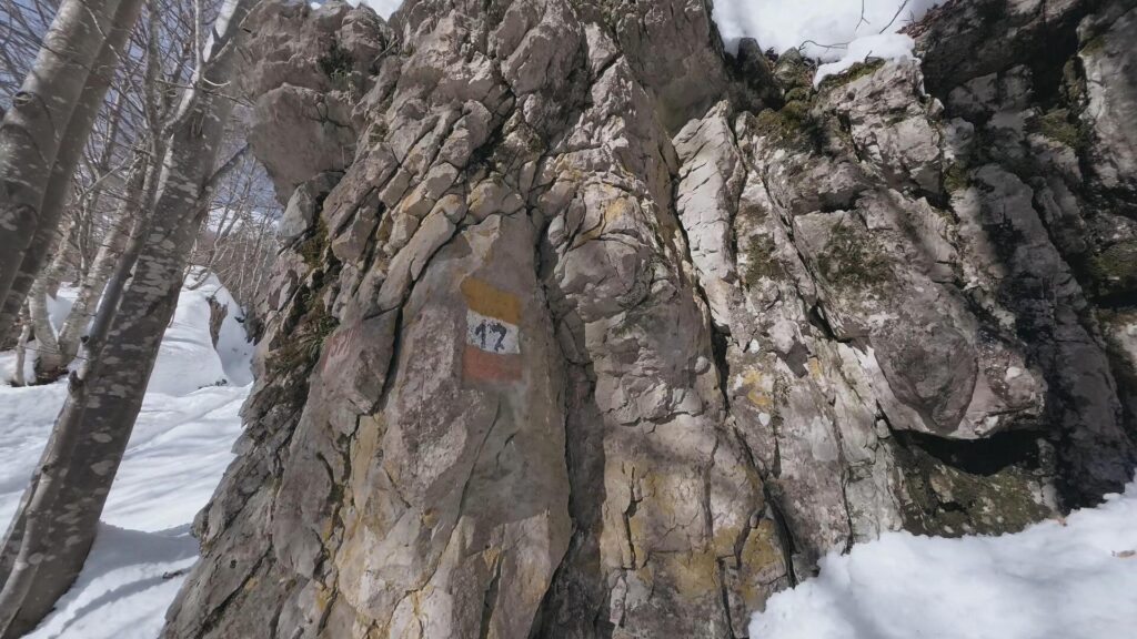 sentiero 17 Resegone