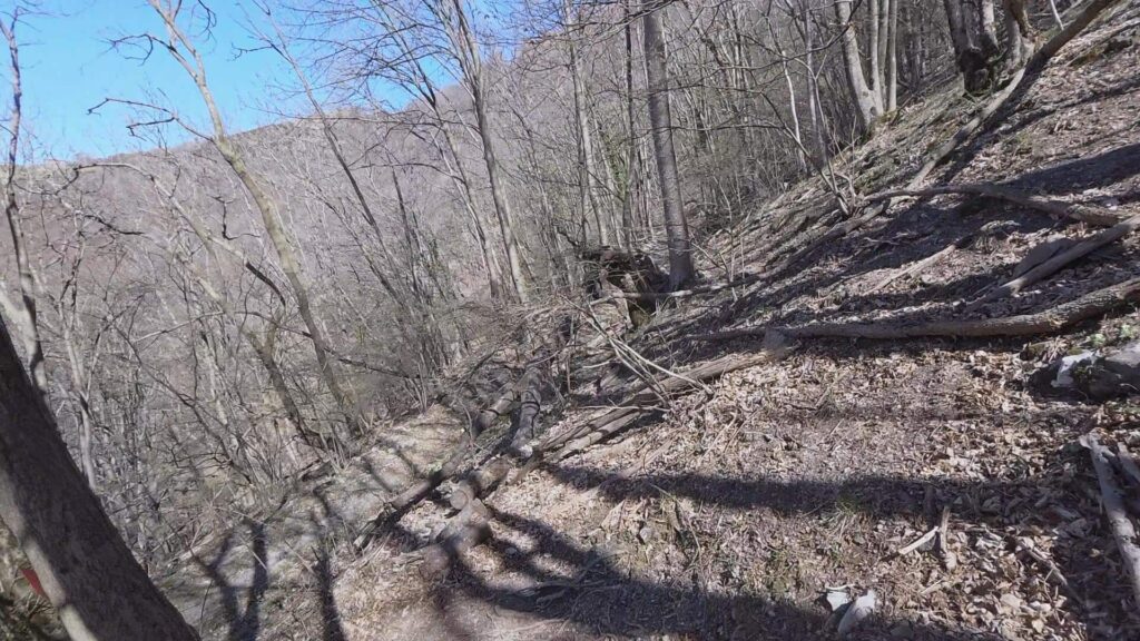 Sentiero discesa Colmegnone