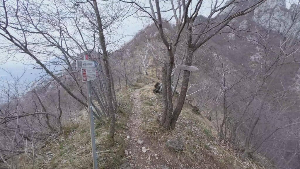 Sentiero di ritorno Medale