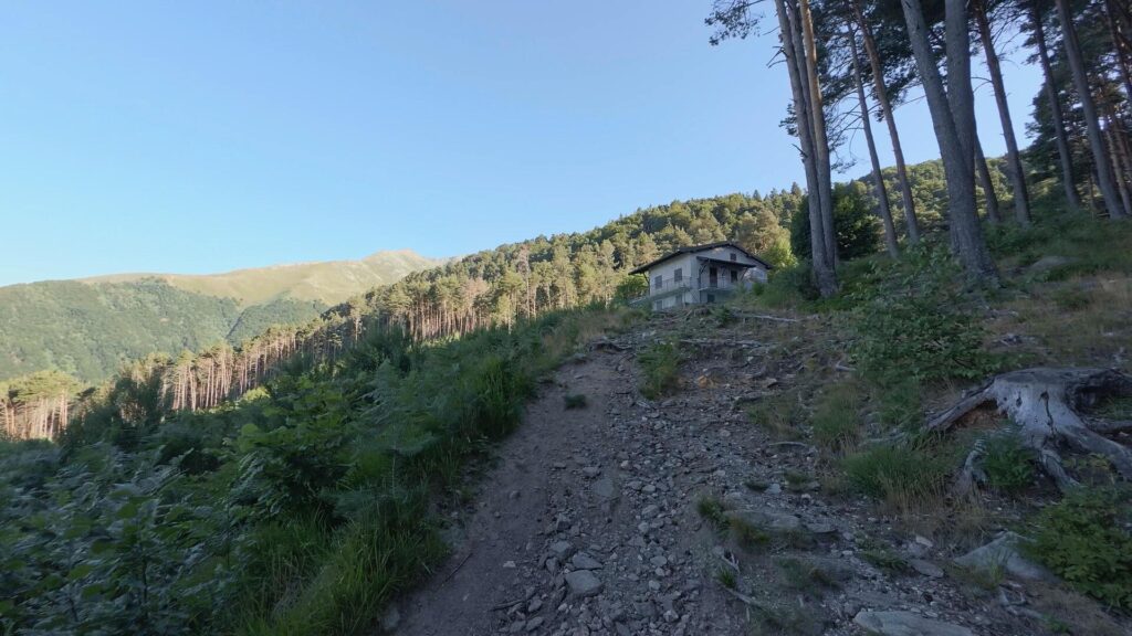 Sentiero per Alpe di Mezzo