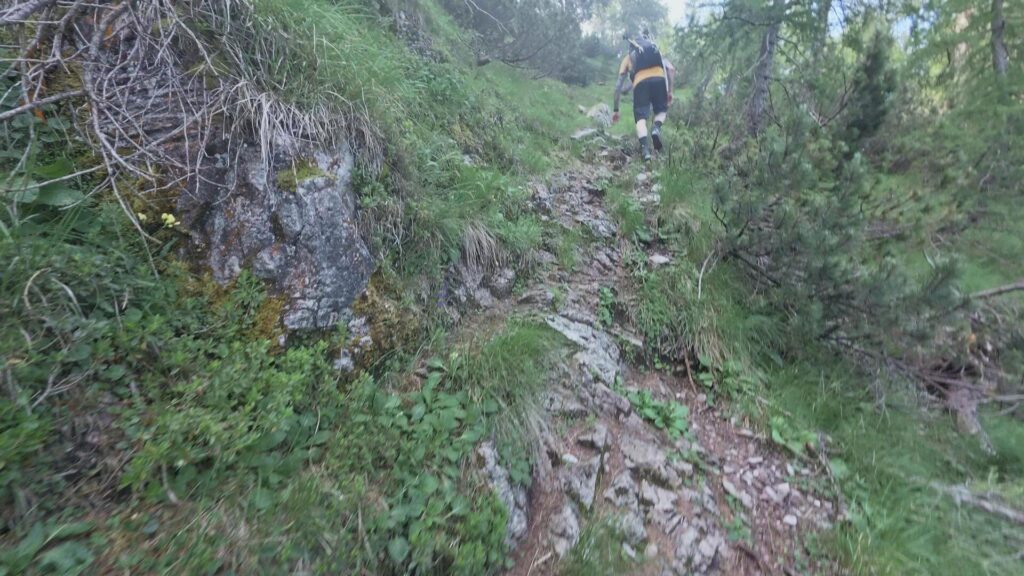 sentiero per vetta Sasso Cavallo