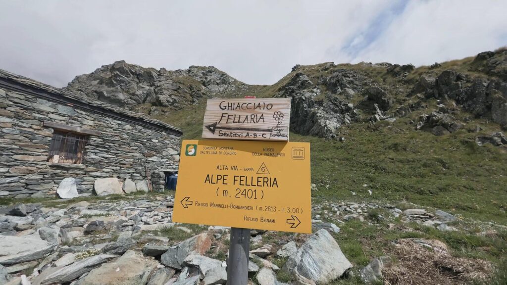 indicazioni Fellaria