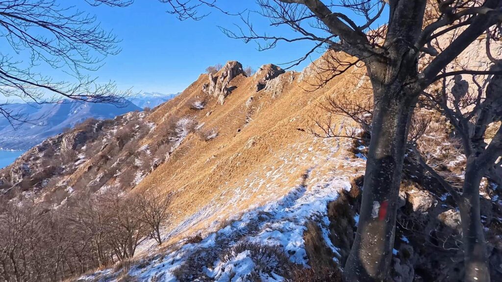 sentiero in cresta Pizzi Parlasco