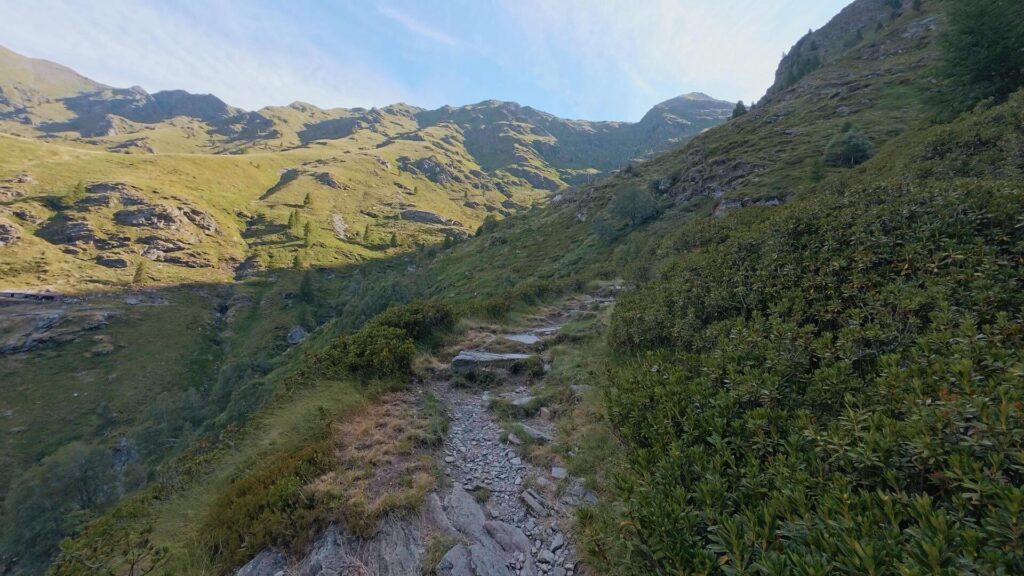 Sentiero per Alpe Deleguaggio