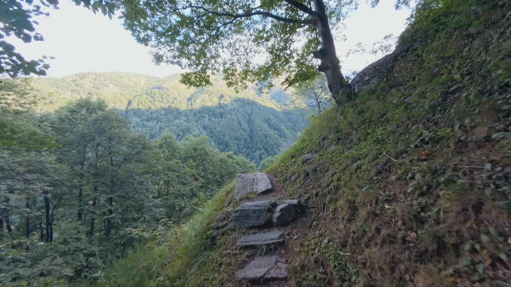 Sentiero per Alpe Deleguaggio
