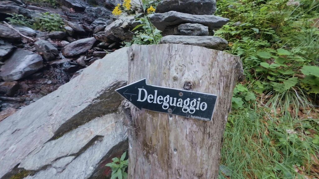 Indicazioni Deleguaggio