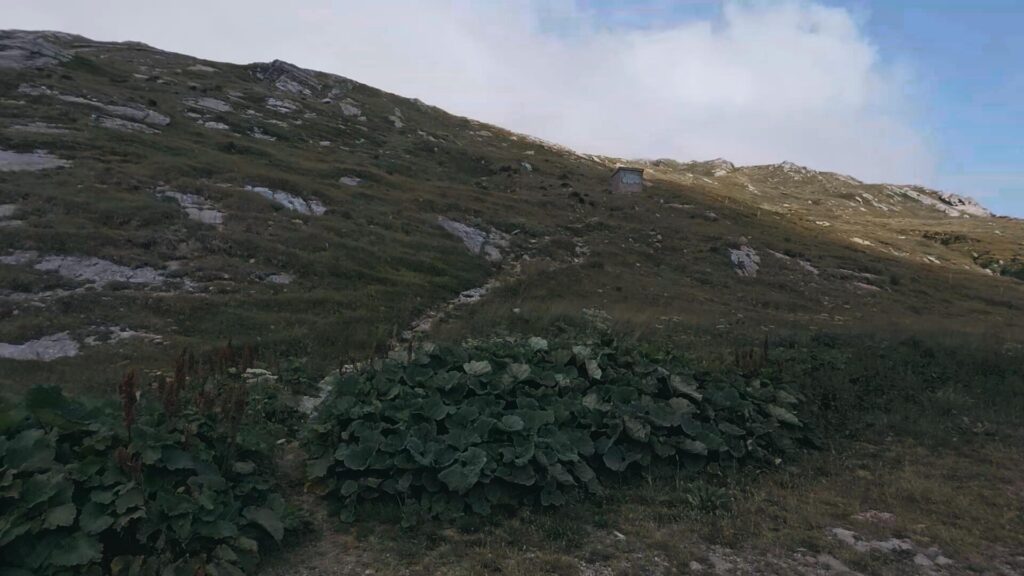 Inizio sentiero Pizzo Tambò