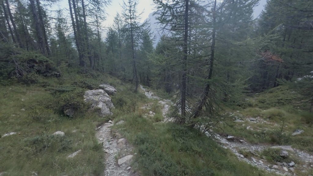sentiero per Alpe Musella