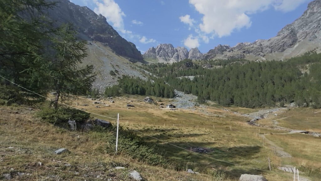 Alpe Musella