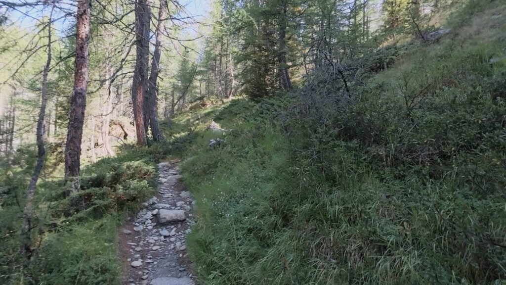 sentiero per rifugio Carate