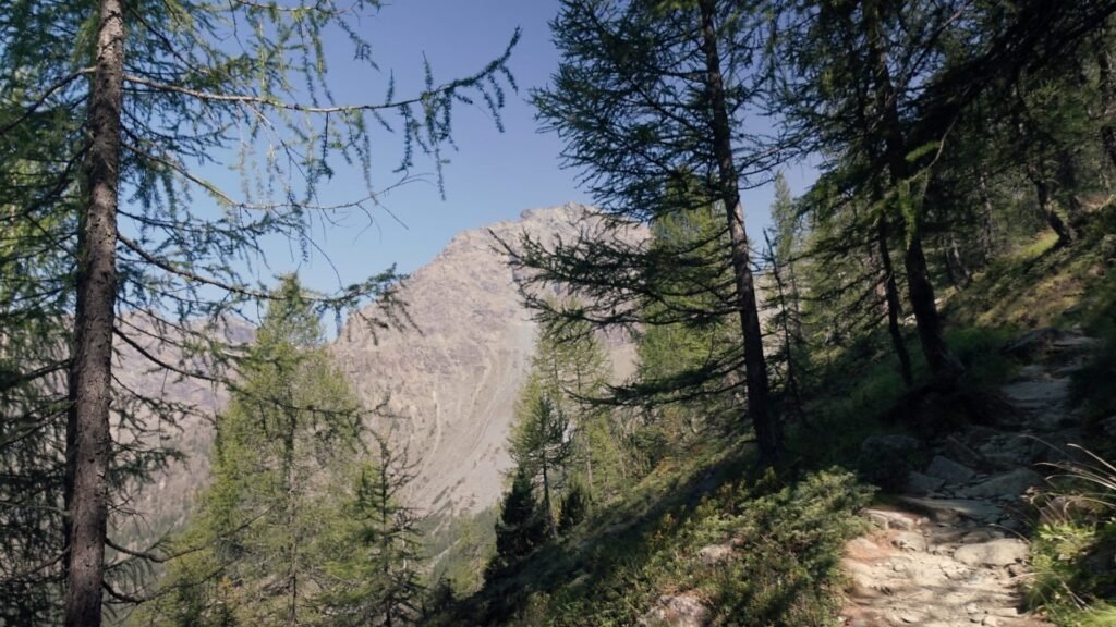 vista sul Monte delle Forbici